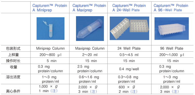 protein A原理的抗体快速纯化柱—Capturem&trade; 膜技术