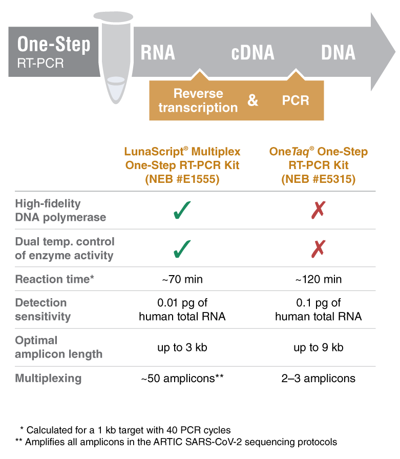 LunaScript® 一步法多重 RT-PCR 试剂盒            货   号                  #E1555L