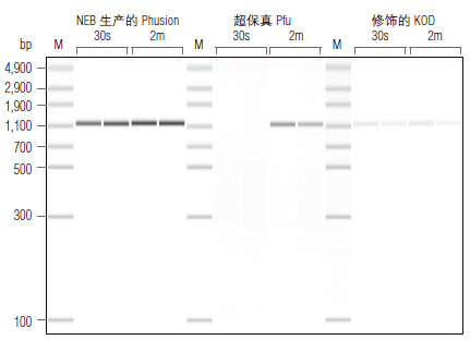 Phusion® 超保真 PCR 试剂盒                 货   号                  #E0553L