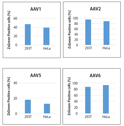 AAVpro&reg; Freeze-Thaw Extraction Buffer (All Serotypes)