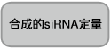 in vitro Transcription T7 Kit（for siRNA Synthesis）
