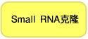 pBApo-EF1α Pur DNA