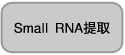 Small RNA Cloning Kit