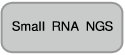 microRNA定量（qRT-PCR）
