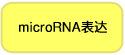 Tet-诱导型 miRNA