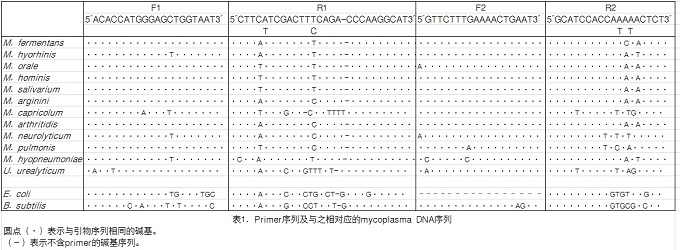 TaKaRa PCR Mycoplasma Detection Set