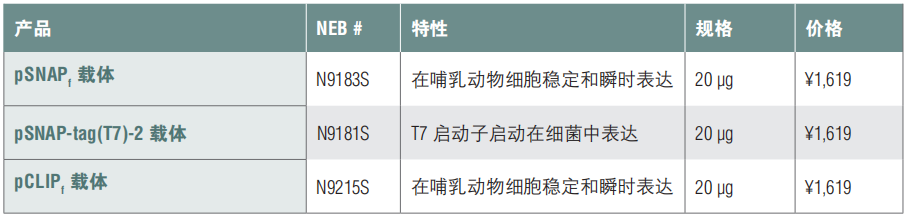 pCLIPf 载体 货 号 #N9215S